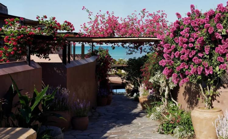 General view, Volta Seaside Boutique Hotel, Crete