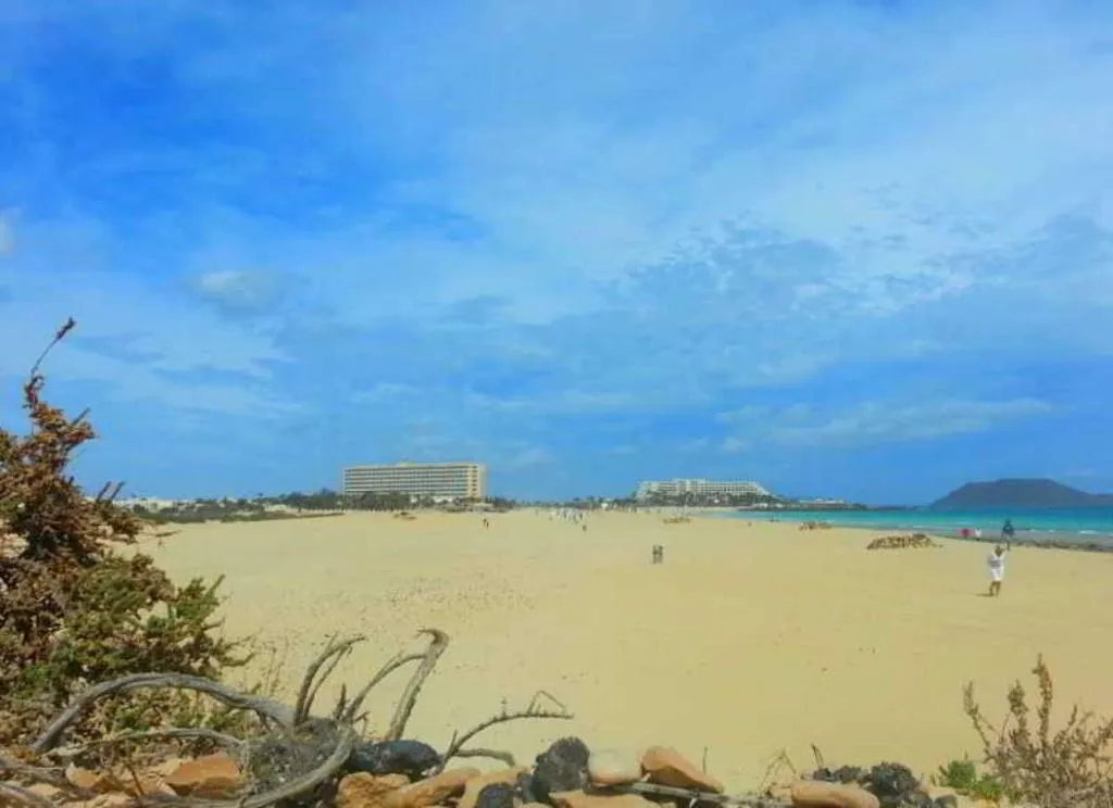 Beach, Hotel Riu Oliva Beach Resort - All Inclusive, Fuerteventura