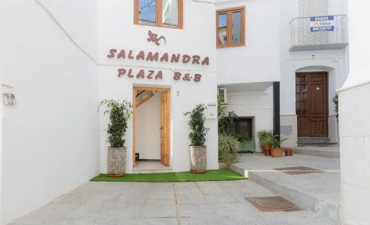 General view, Salamandra Plaza B&B, Seville