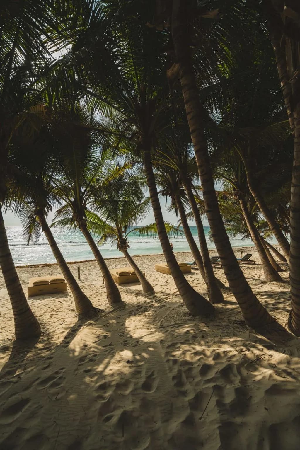Beach, Ether Tulum, Cancun Area