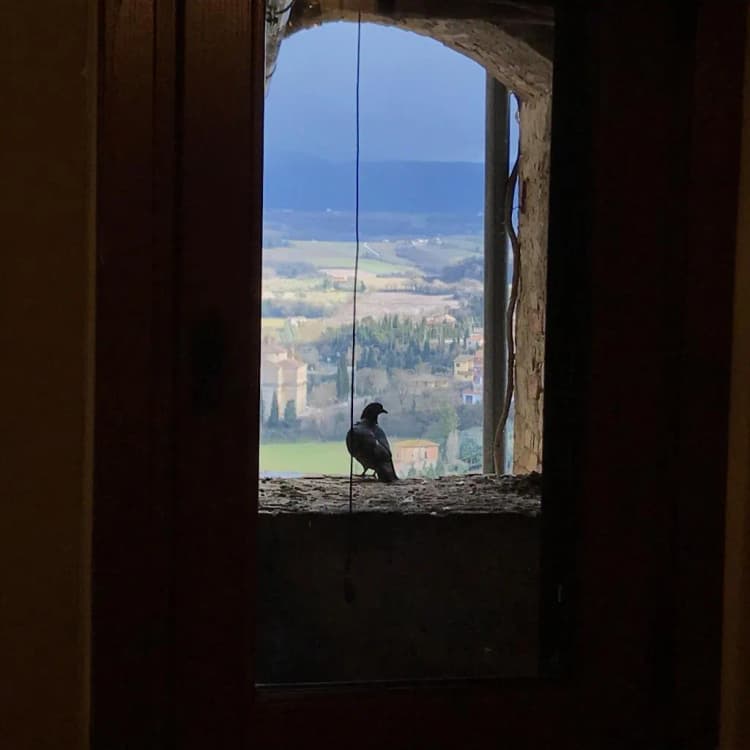 General view, B&B Residenza Teatro Antico, Perugia