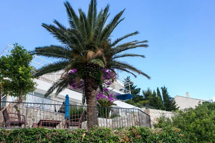 General view, Apartments Villa Mirjana, Dubrovnik