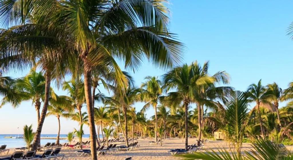 Beach, Hacienda Paradise Boutique by BFH, Playa Del Carmen