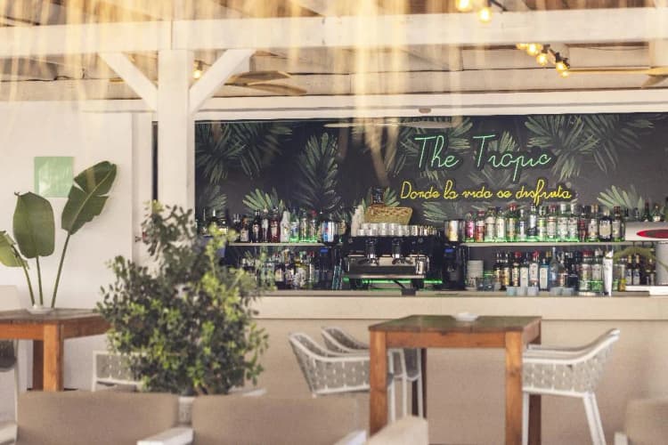 Bar, Alua Gran Camp de Mar Hotel, Majorca