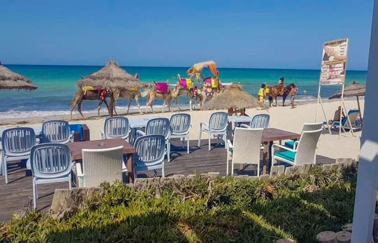 Bar, Dar El Bhar, Tunisia