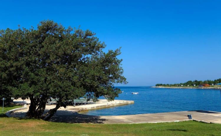 Beach, Camping Park Umag Mobile Homes, Istria
