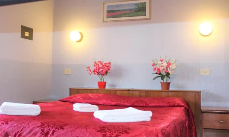 DOUBLE STANDARD Room, Hotel Eurorooms, Rome