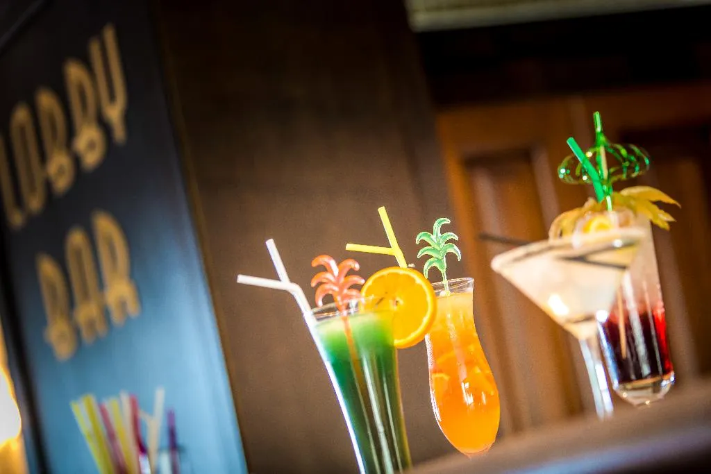 Bar, Hotel Palace Marina Dinevi, Bourgas