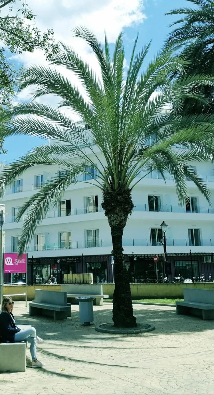 General view, Terrace Costa, Costa Del Sol