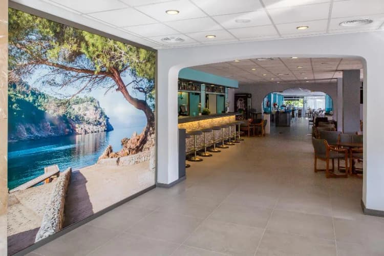 Bar, Nura Boreal, Majorca