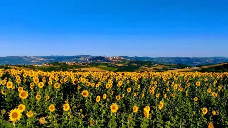 General view, Il Focolare, Perugia