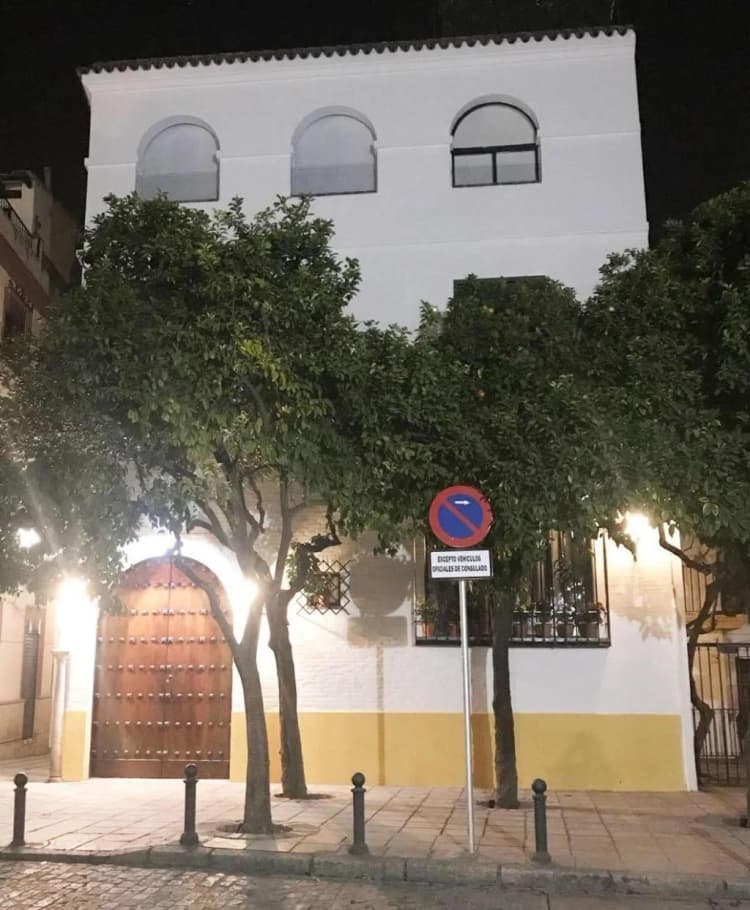 General view, Rey Don Pedro Luxury Home, Seville