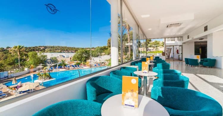 Bar, Globales Mimosa, Majorca