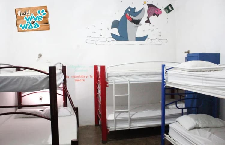 Bed in dormitory BUNK BED WITH SHARED BATHROOM Room, Hostal Vive La Vida, Playa Del Carmen