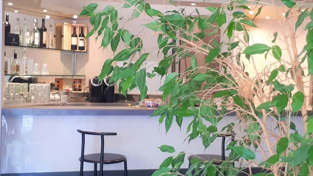 Bar, Kristall, Perugia
