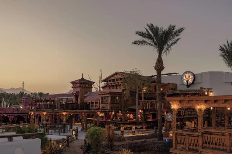 Bar, JAZ Sharm Dreams, Red Sea Riviera