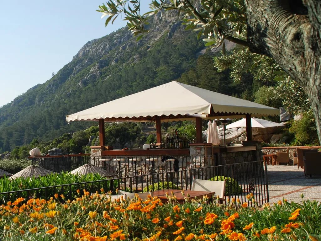 Bar, Dionysos, Dalaman